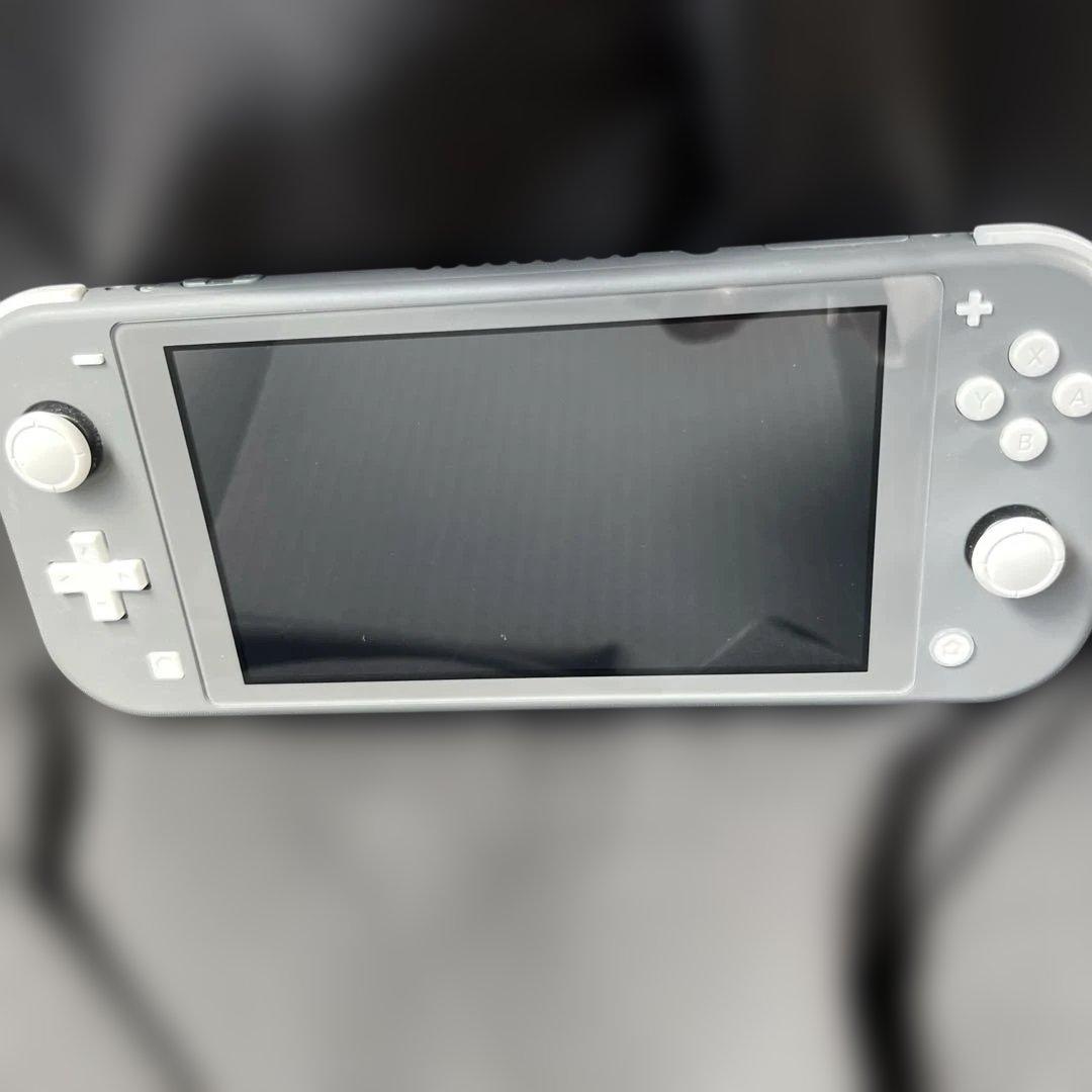 switch light本体のみ グレー