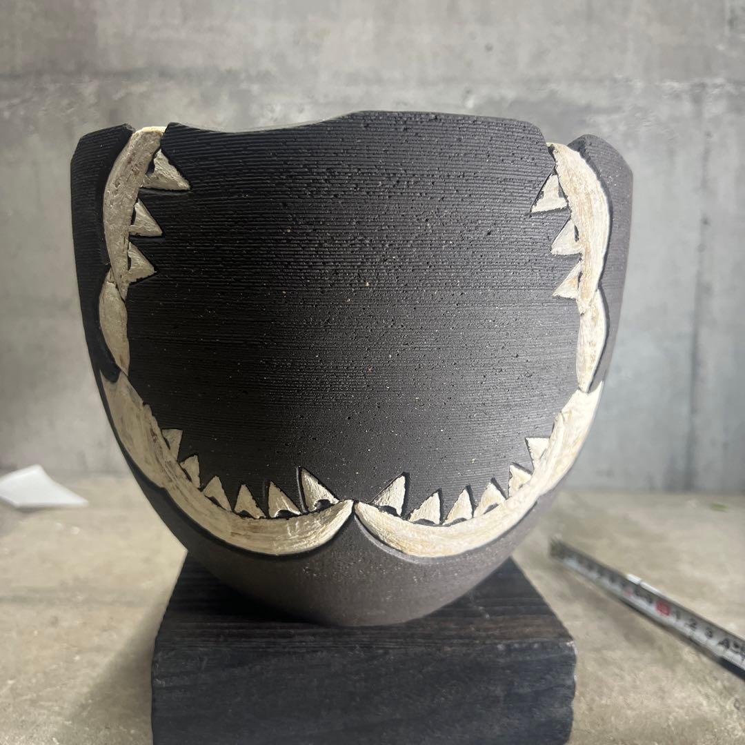 リー樣確認手作植木鉢 LLサイズ 検（ 塊根植物 グラキリス パキプス )