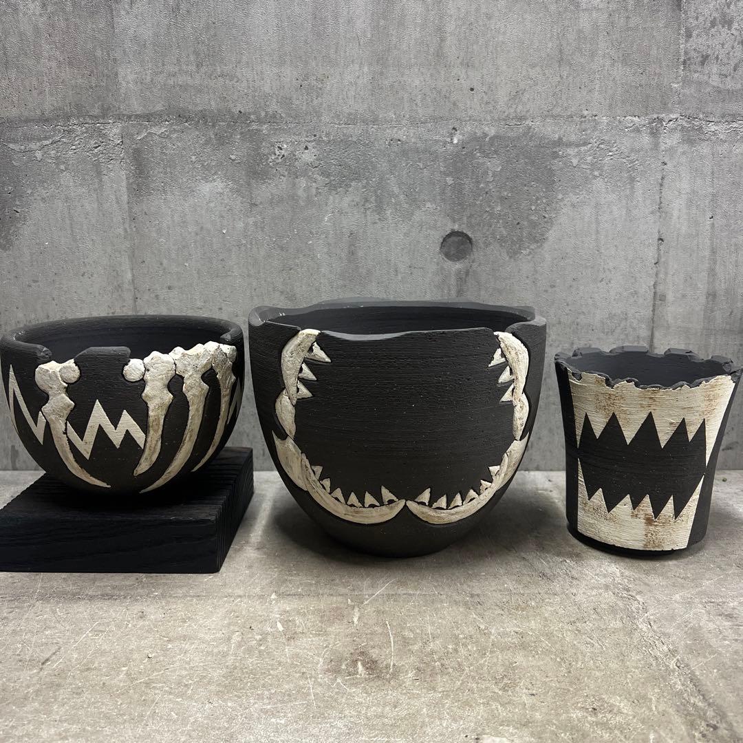 リー樣確認手作植木鉢 LLサイズ 検（ 塊根植物 グラキリス パキプス )