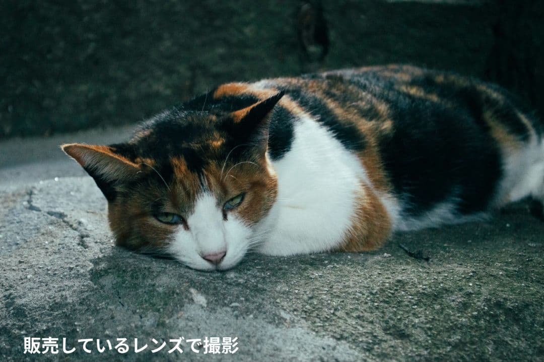 美品　ニコン　Nikon AF NIKKOR 50mm f1.8 D