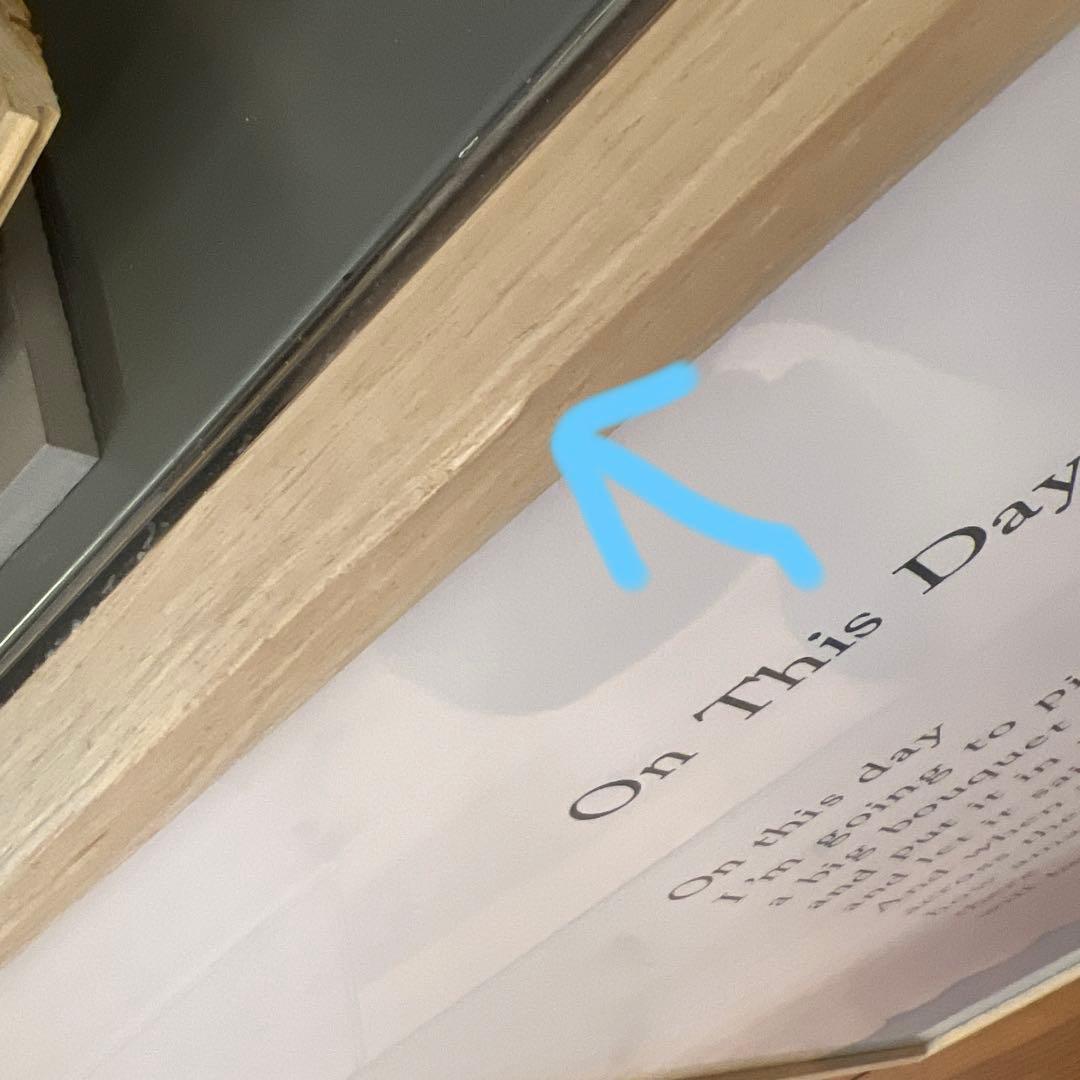 ゴフスタイン　ジクレープリント額装品