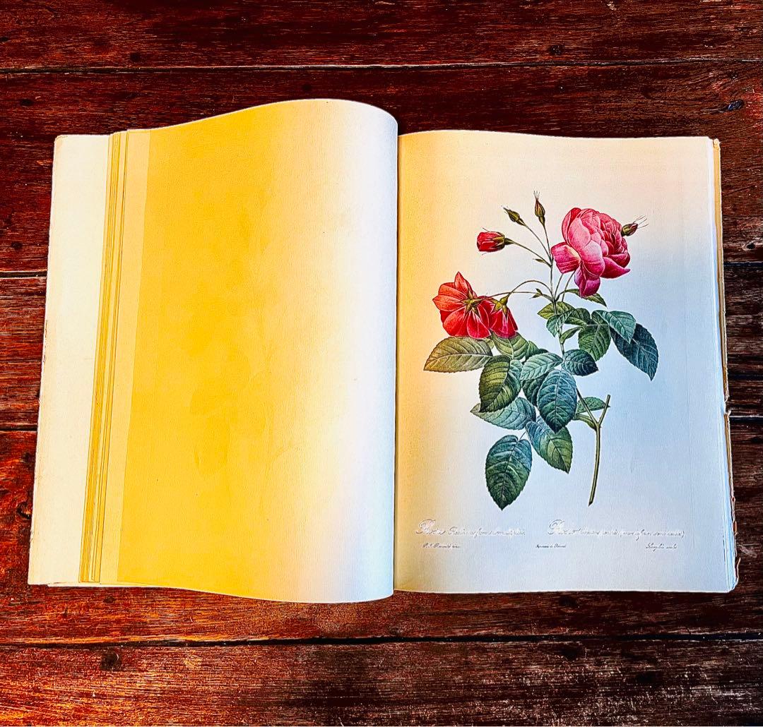 超希少！50年代洋書 ピエール ジョゼフルドゥーテ アンティーク薔薇画集