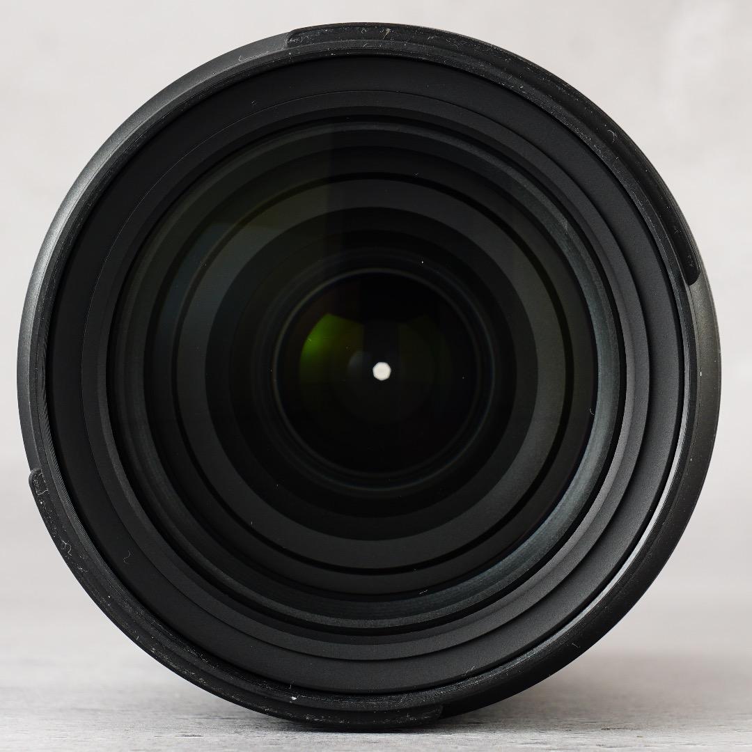 α1検証済｜Tamron 28-200mm F2.8 実写 家族旅行の失敗ゼロ