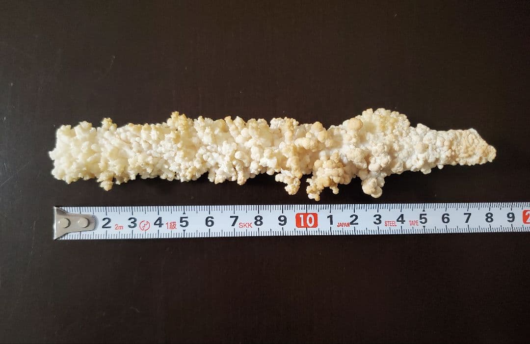 鍾乳管(鍾乳石)